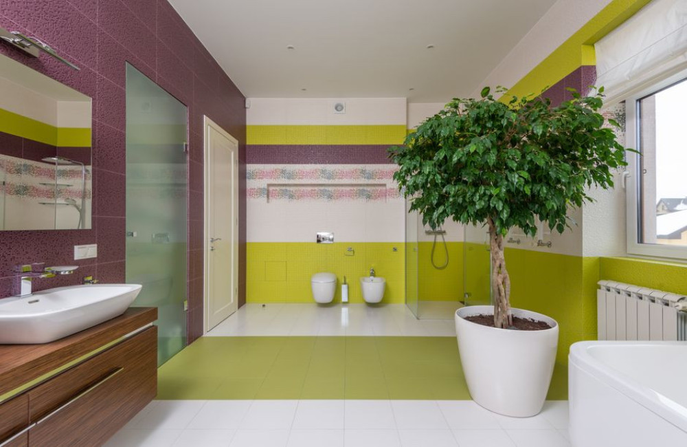 Welke plant helpt tegen schimmel in de badkamer?